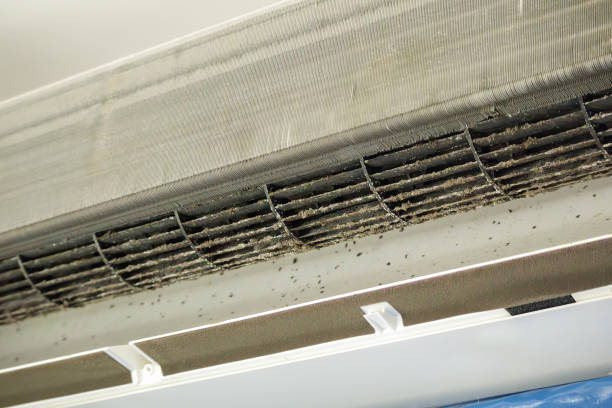 Best Air Duct Cleaning Company Near Me  in Grove City, PA